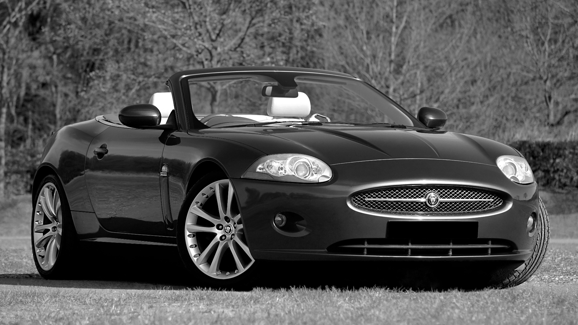 Choosing the Right Oil for Your Jaguar or Land Rover